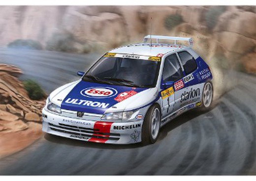 Carroceria Peugeot 306 Maxi 1/24