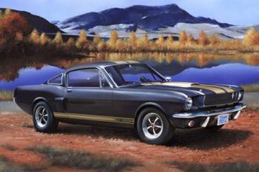 Maqueta Ford Shelby Mustang GT 350 H 1:24