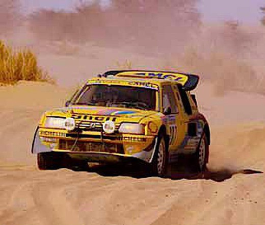 Peugeot 405 grand raid 1990 203/204