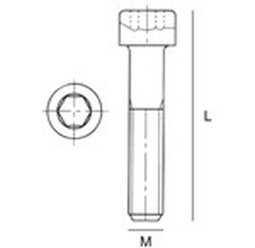 Tornillo allen M 2x5