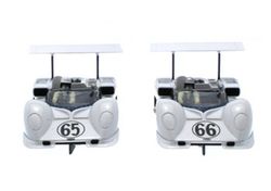 Chaparral 2E n.65 & n.66 Can-Am