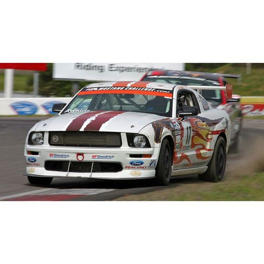 Ford Mustang -Flyinghorse-