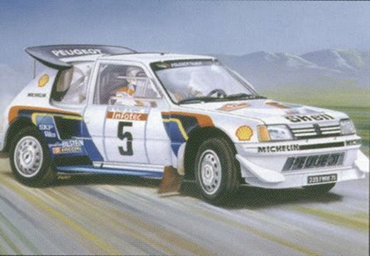 Maqueta Peugeot 205 EV2 1/24