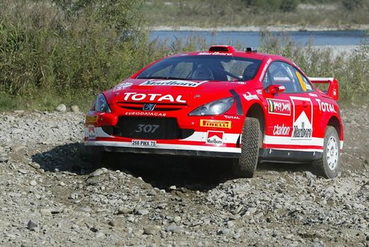 Maqueta Peugeot 307 WRC 1:24