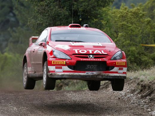 Maqueta Peugeot 307 WRC 1:24