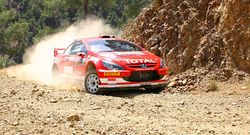 Maqueta Peugeot 307 WRC 1:24