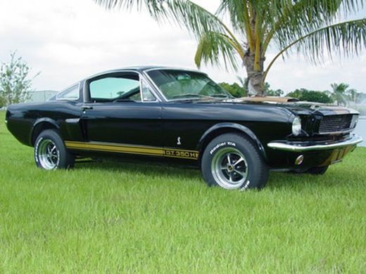 Maqueta Shelby Mustang GT 350H 1/24