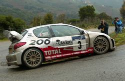 Peugeot 206 WRC 2002 'Panizzi'