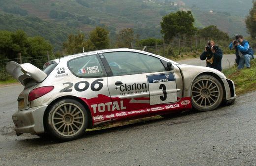 Peugeot 206 WRC 2002 'Panizzi'